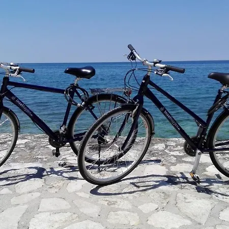 Lea With Free Bikes Apartamento