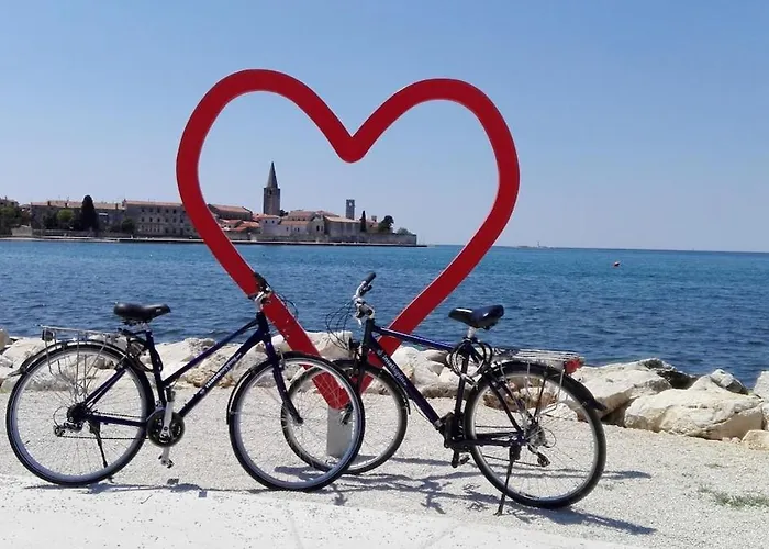 Lägenhet Lea With Free Bikes